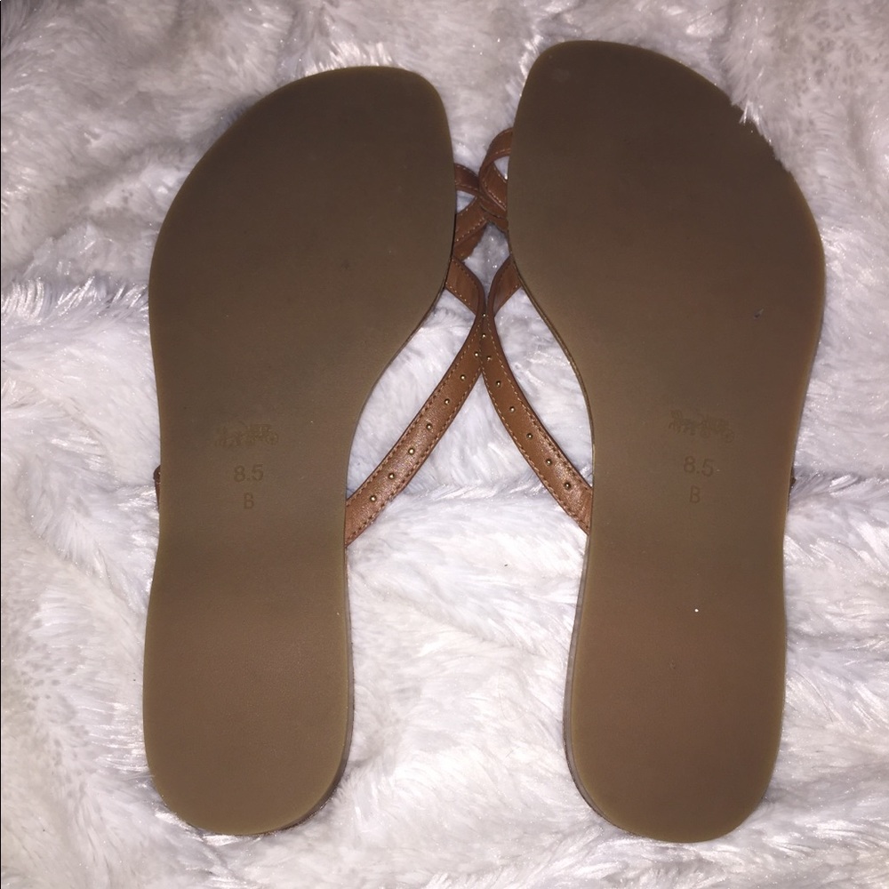 Coach slides